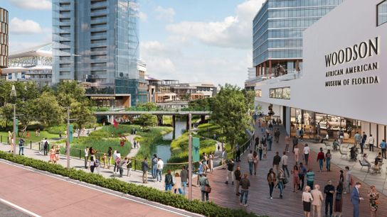 Tampa Bay Rays Shine At A New Ballpark  (Do Business in Florida)